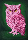 "Wicked Wisdom" Art Print